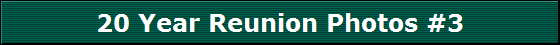 20 Year Reunion Photos #3